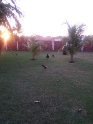 IMG-20220620-WA0008
